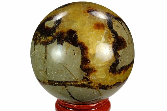 Polished Septarian Sphere - Madagascar #122905